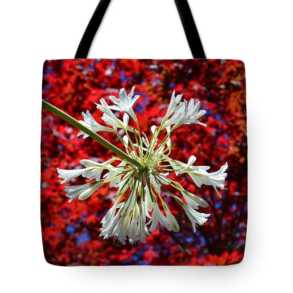 Fireworks Tote Bag featuring the photograph Bursting In Air by Donna Blackhall