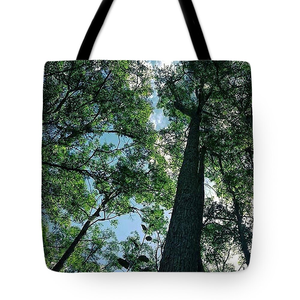 Landscape Tote Bag featuring the photograph Bush Trees by Michael Blaine
