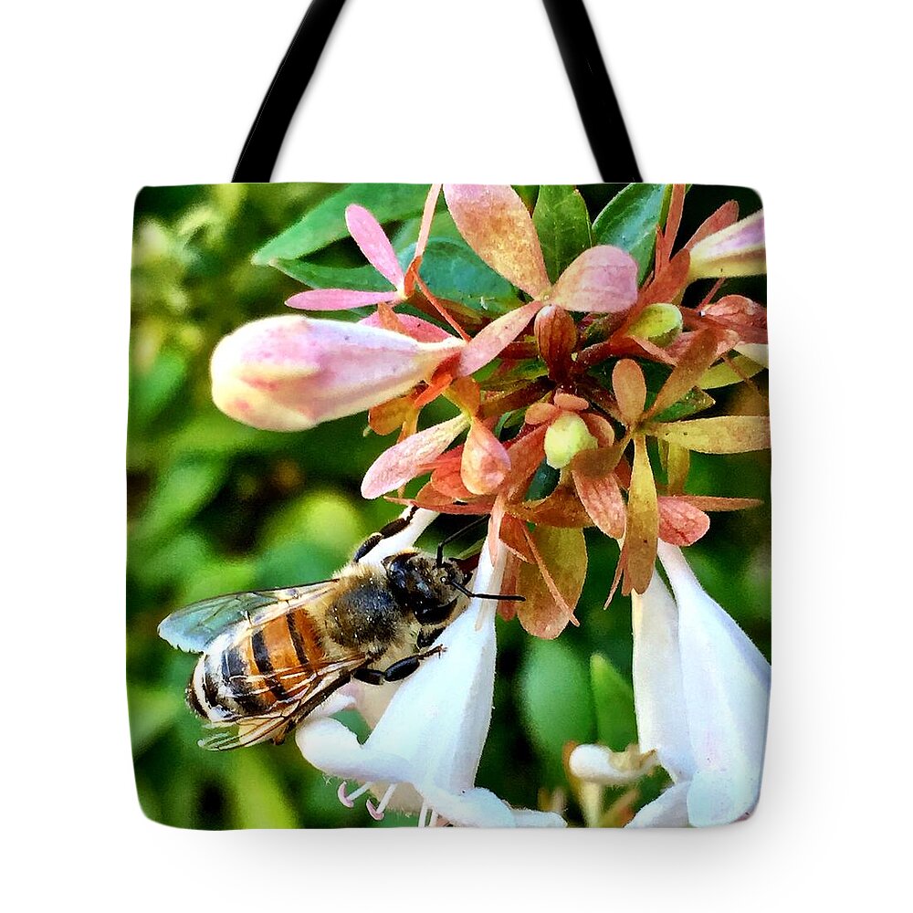 Bee Tote Bag featuring the photograph Busy As a Bee by Brad Hodges