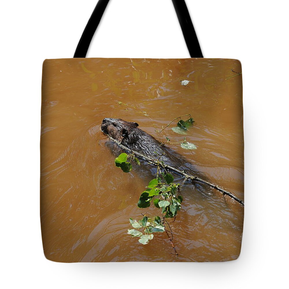 Beaver Tote Bag featuring the photograph Busy Beaver by Sandra Updyke