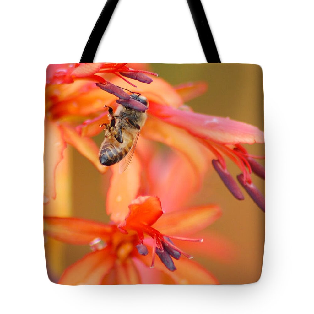 Bee Tote Bag featuring the photograph Busy Bee by Amy Fose
