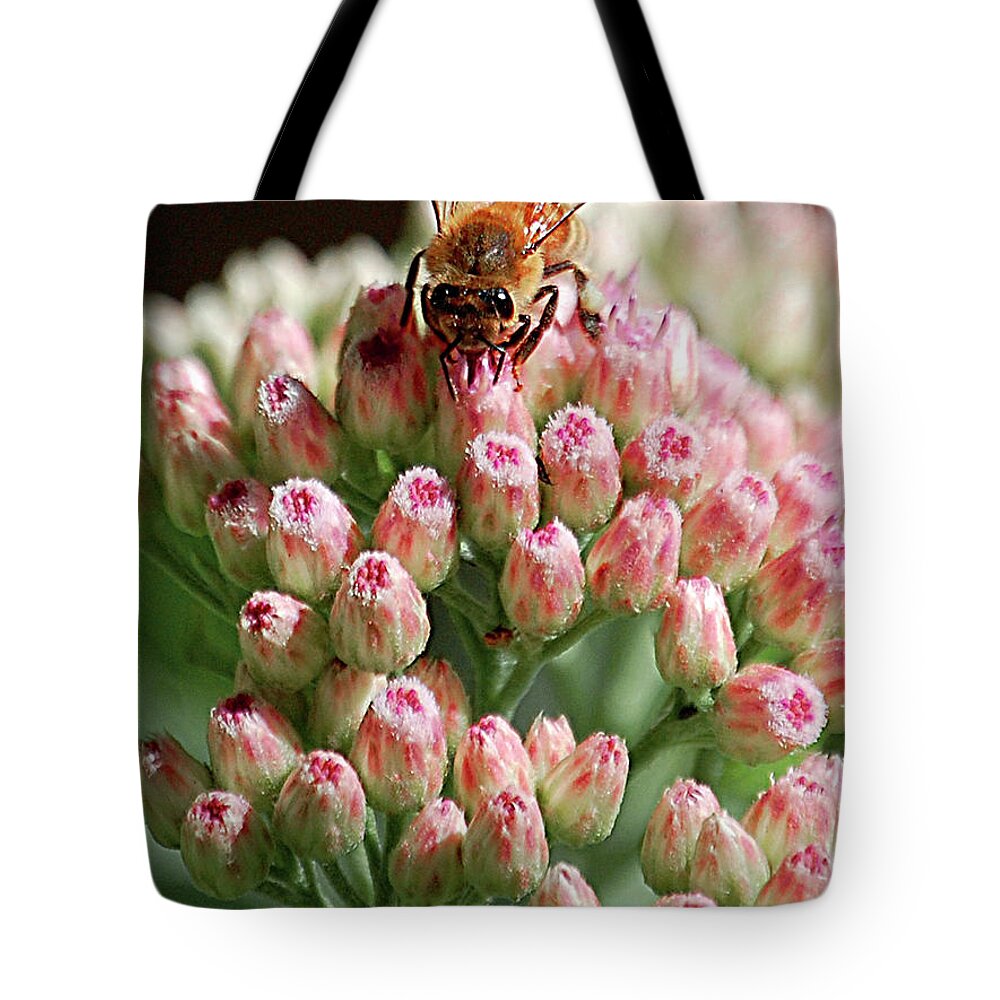 Pink Tote Bag featuring the digital art Busy Bee by DigiArt Diaries by Vicky B Fuller