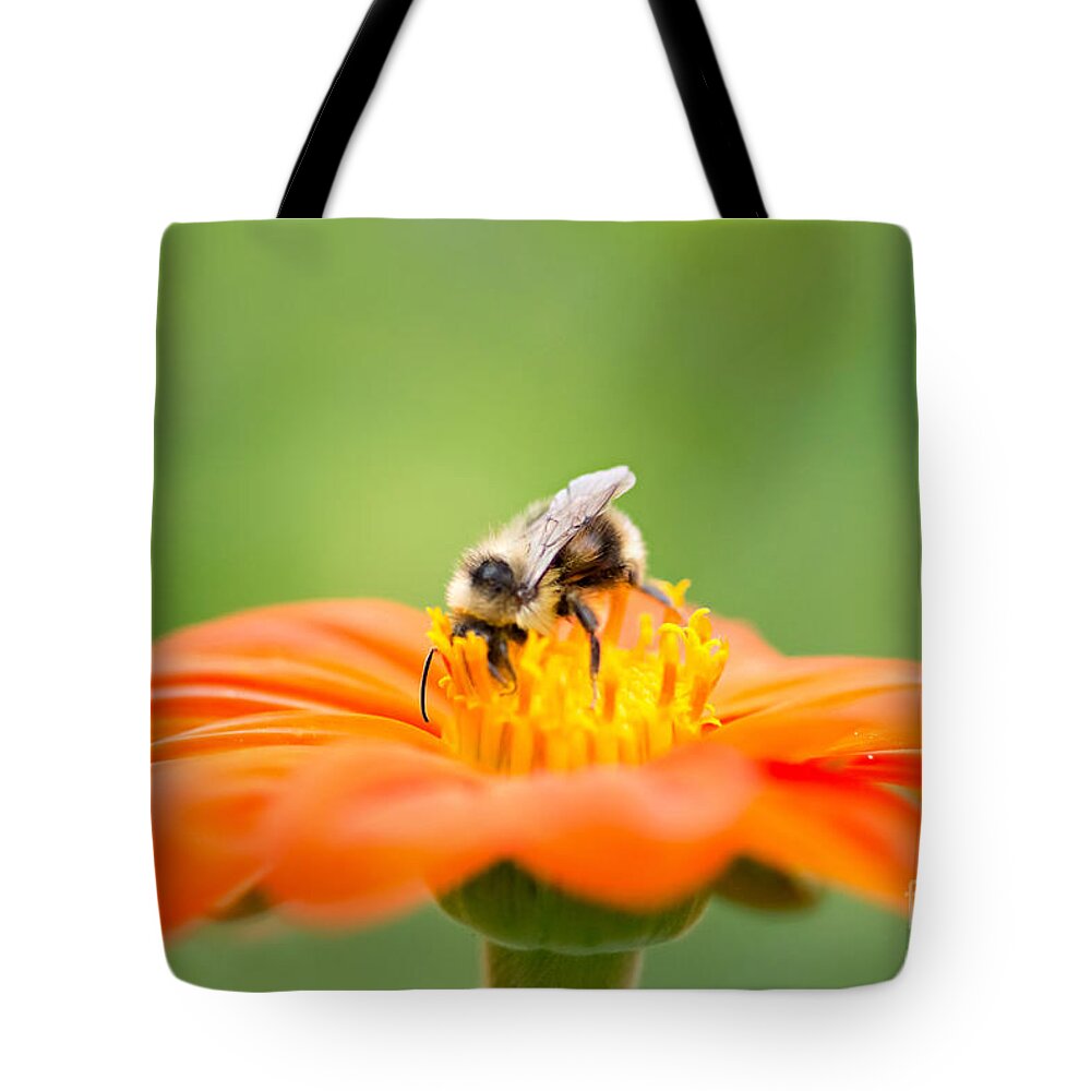 Bee Tote Bag featuring the photograph Busy Bee by Susan Garver