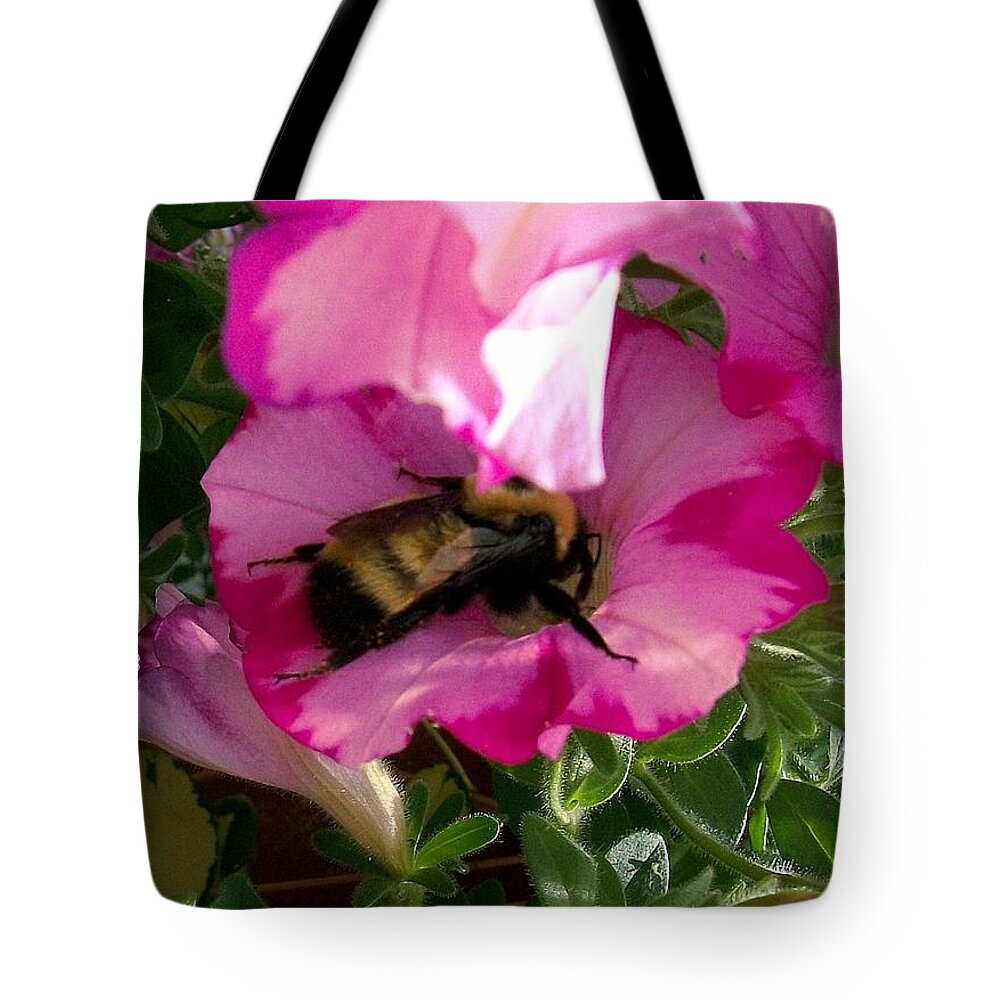 Honey Bee Tote Bag featuring the photograph Busy Bumble Bee by Sharon Duguay