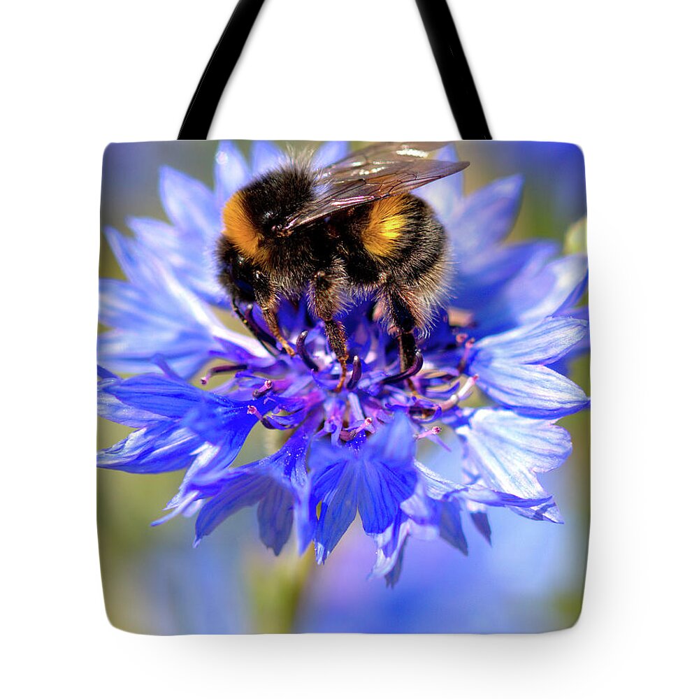 Cornflower Tote Bag featuring the photograph Busy Little Bee by Baggieoldboy