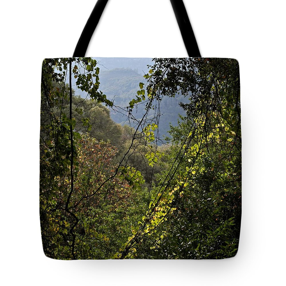 Nature Tote Bag featuring the photograph Butte Creek Canyon October by Michele Myers