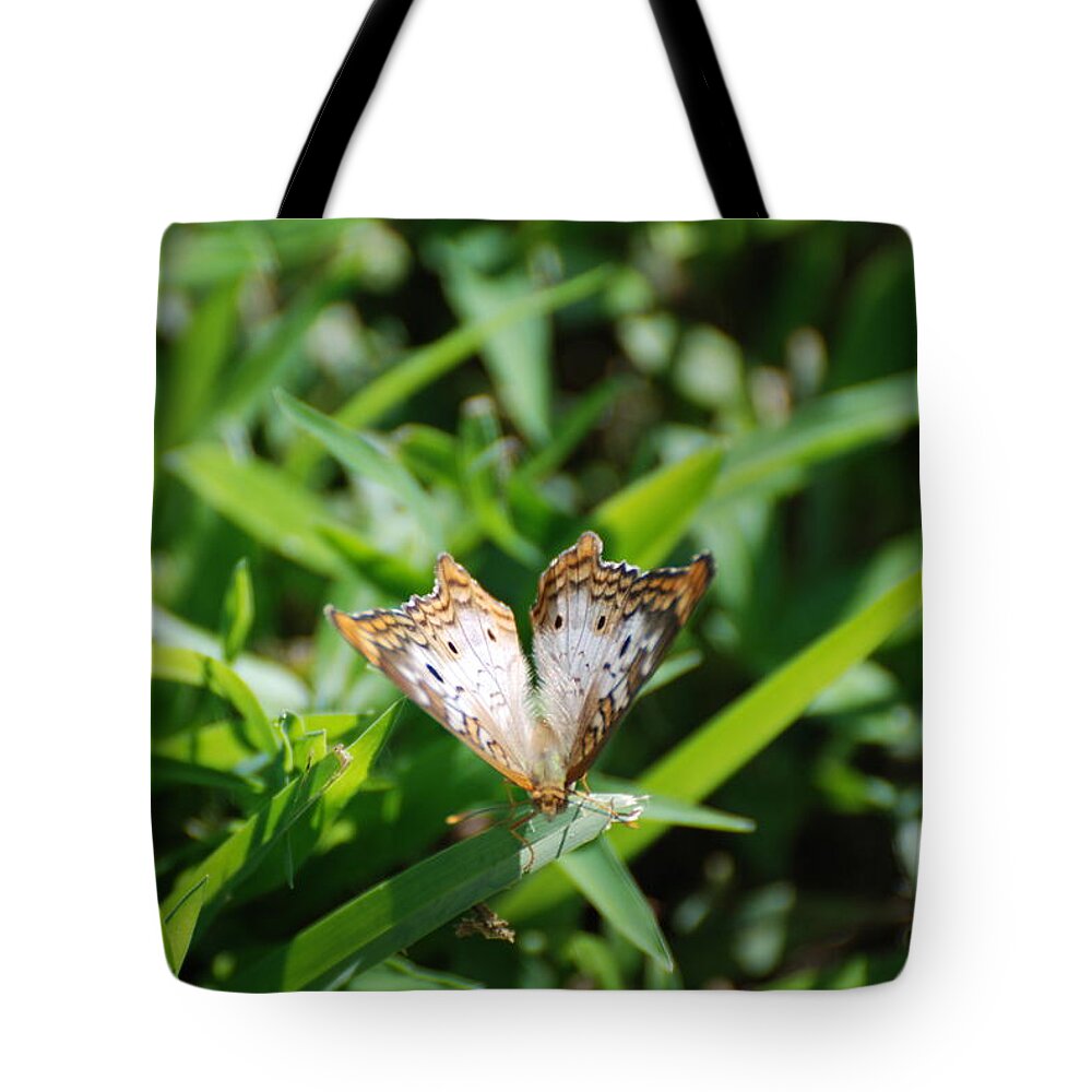 Butterfly Tote Bag featuring the photograph Butter Fly by Rob Hans