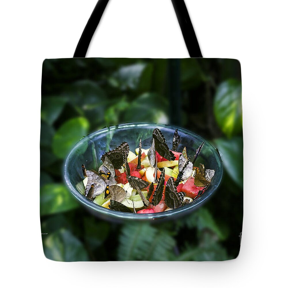 Butterfly Wonderland Tote Bag featuring the photograph Butterflies Feeding by Richard J Thompson