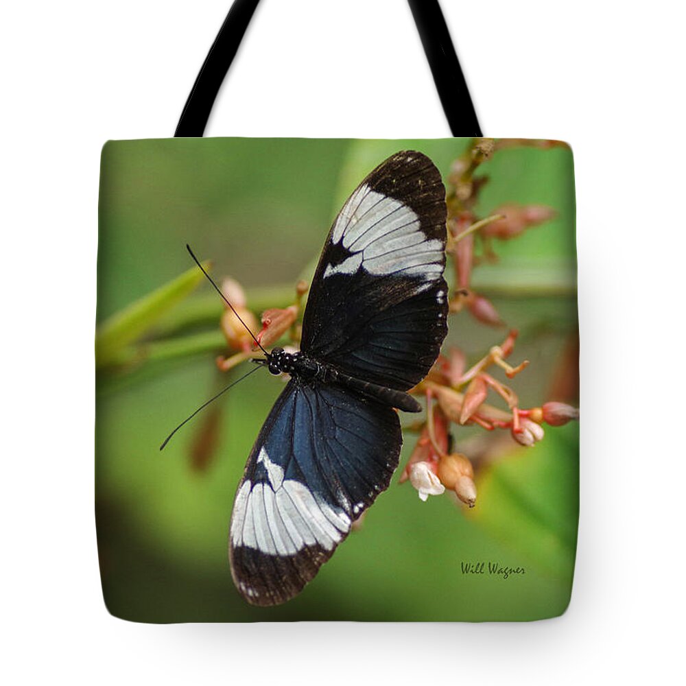 Butterfly Tote Bag featuring the photograph Butterfly 06 by Will Wagner