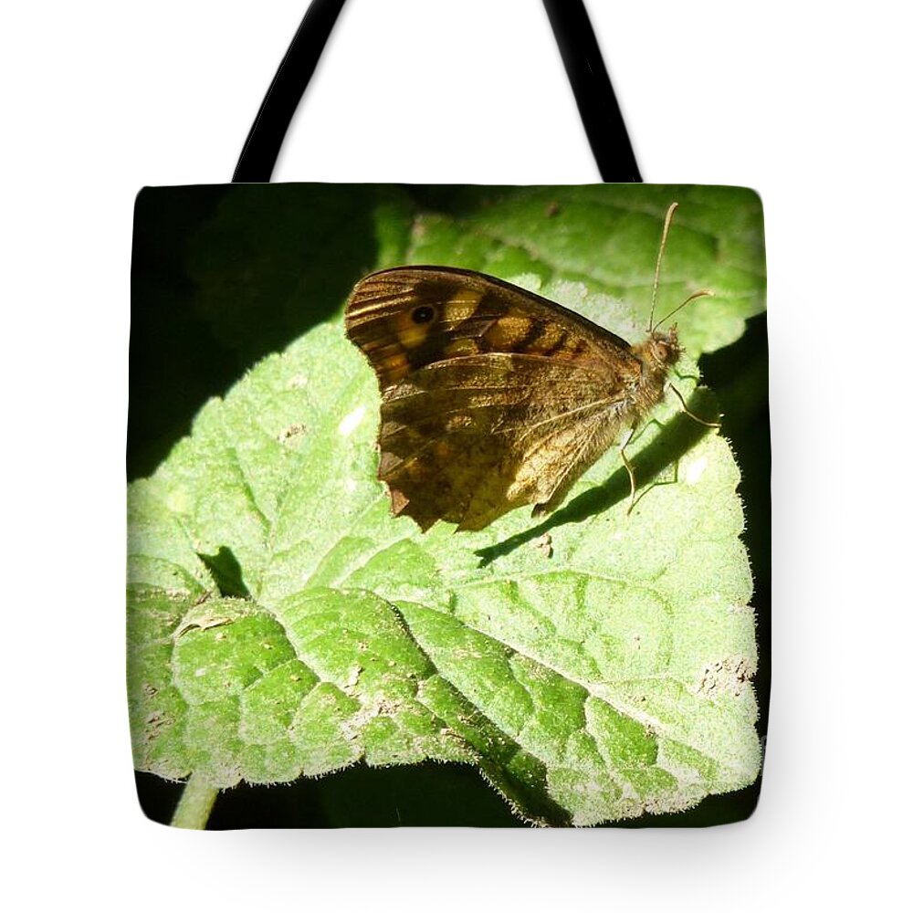 Beautiful Tote Bag featuring the photograph Butterfly 2 by Jean Bernard Roussilhe