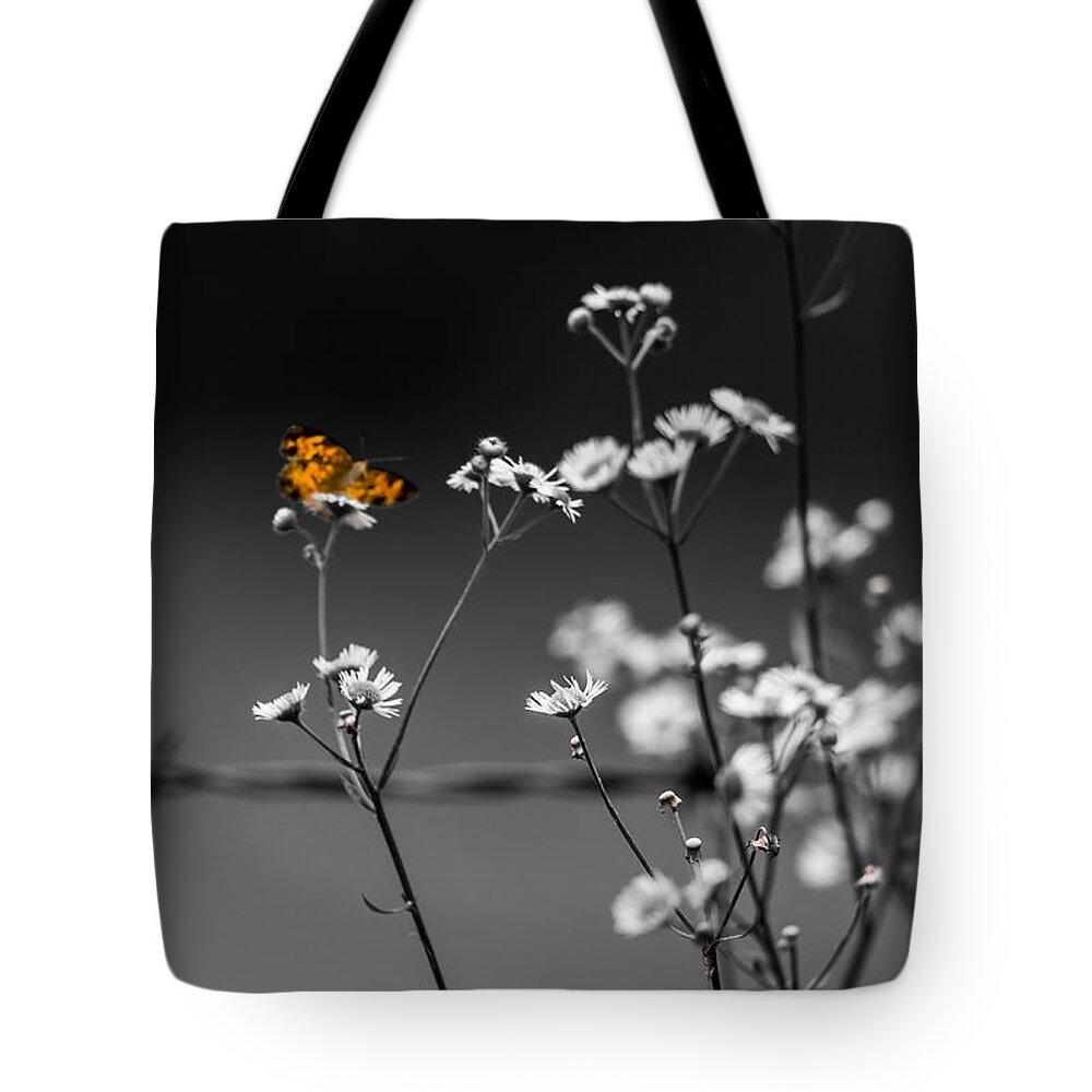 Butterfly Tote Bag featuring the photograph Butterfly and Barb Wire by Holden The Moment