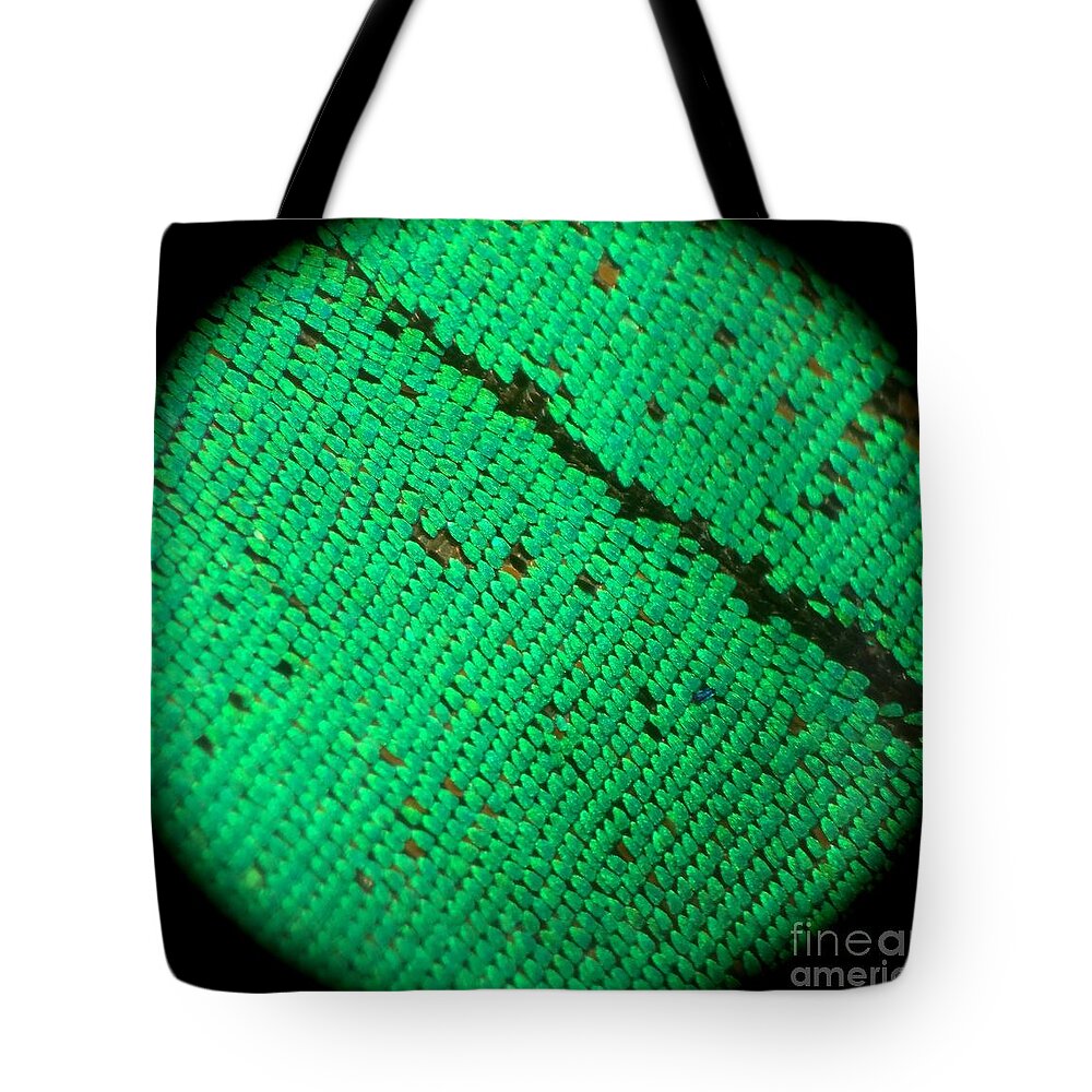 Scale Tote Bag featuring the photograph Butterfly Armor by KD Johnson