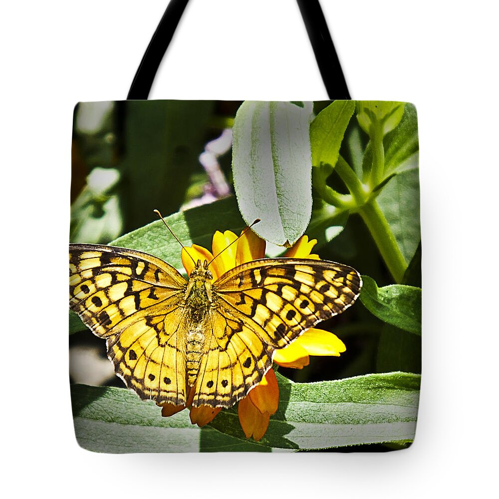 Butterfly Tote Bag featuring the photograph Butterfly at Rest by Bill Barber