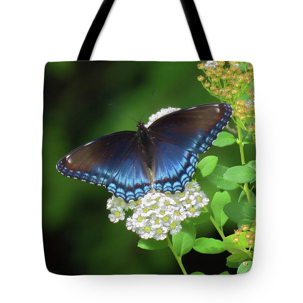 Butterfly Tote Bag featuring the photograph Butterfly Blue - Red Spotted Admiral by MTBobbins Photography