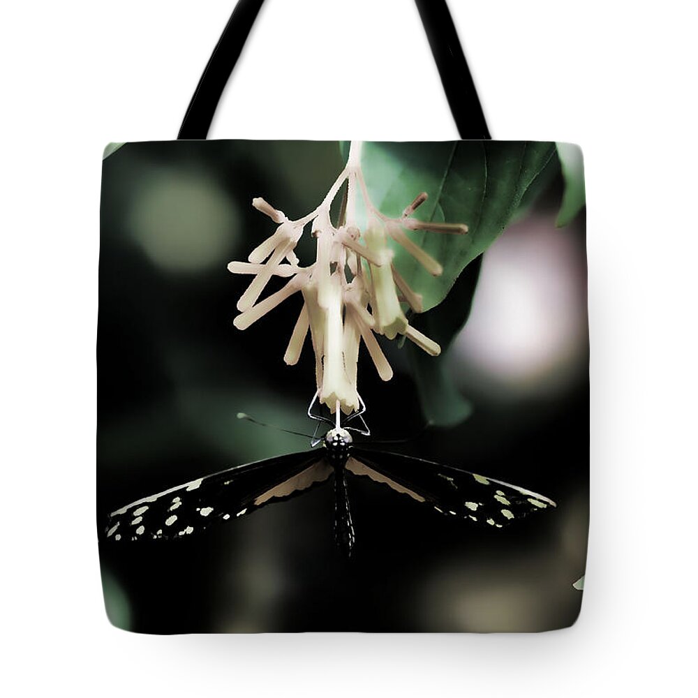 Butterfly Tote Bag featuring the photograph Butterfly BW by Lawrence Christopher