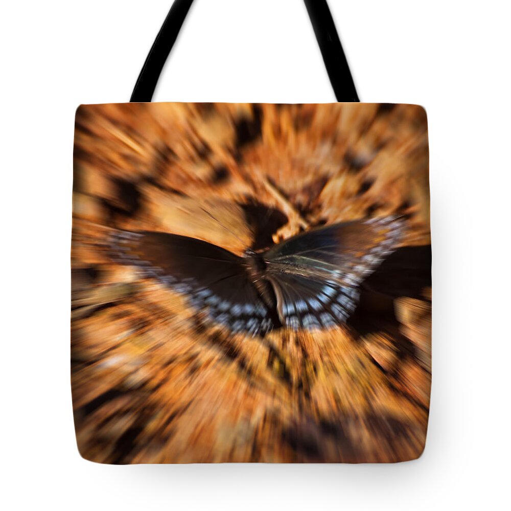 Limenitis Arthemis Astyanax Tote Bag featuring the photograph Butterfly Dreams by Flees Photos
