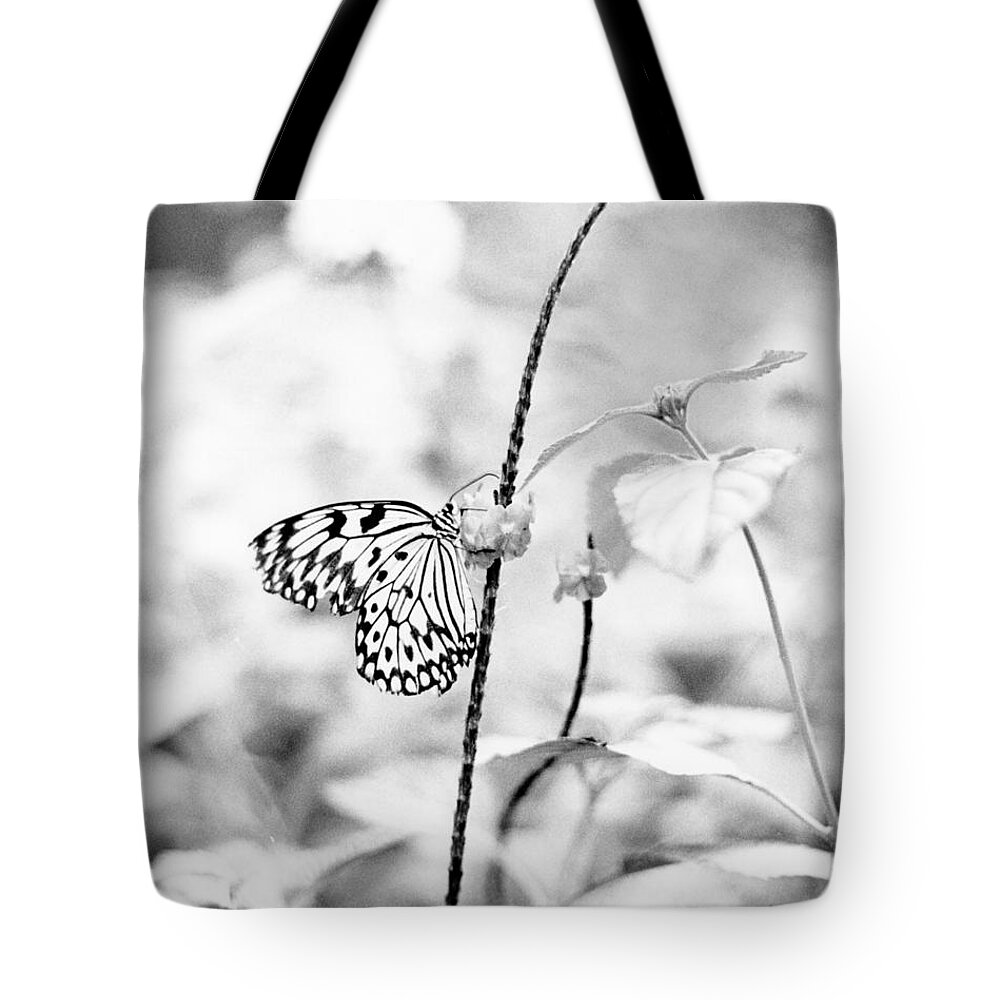 Butterfly Tote Bag featuring the pyrography Butterfly Eatting by Joseph Caban