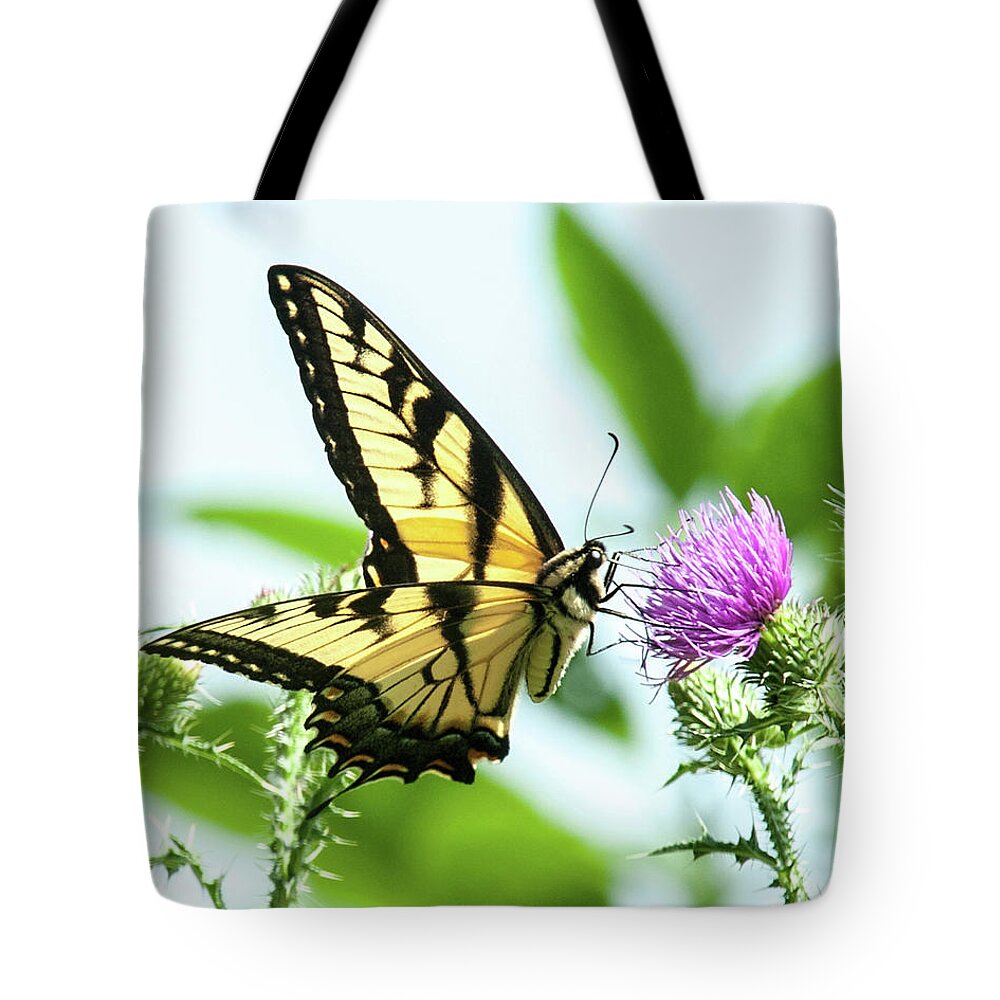 Eastern Swallowtail Tote Bag featuring the photograph Butterfly Echo by Lara Ellis