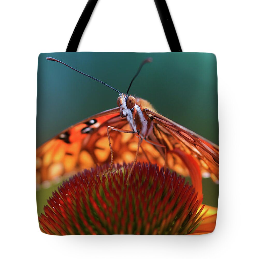  Tote Bag featuring the photograph Butterfly Face by Rebekah Zivicki