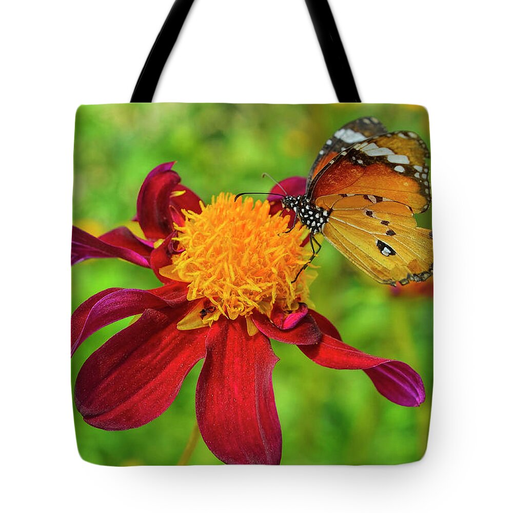 Butterfly Tote Bag featuring the digital art Butterfly Feast by Syed Muhammad Munir ul Haq