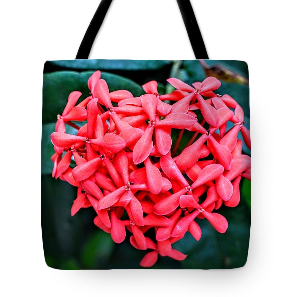Heart Tote Bag featuring the photograph Butterfly Heart by Michael Brungardt