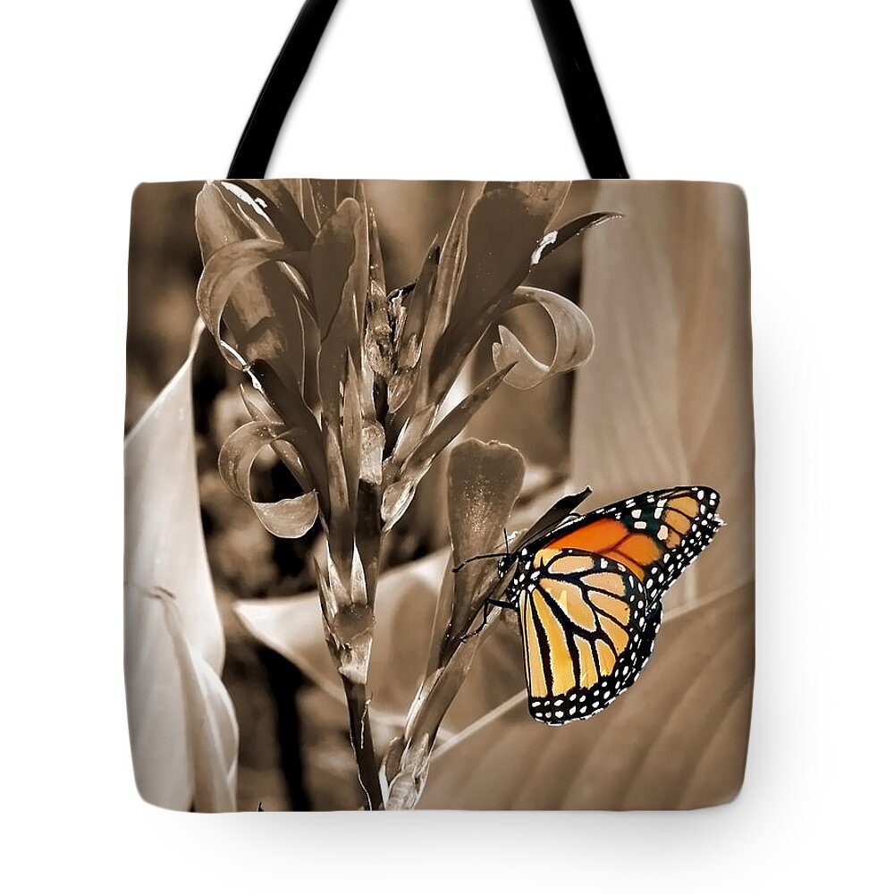 Macro Tote Bag featuring the photograph Butterfly in Sepia by Lauren Radke