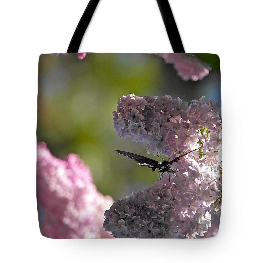 Butterfly Tote Bag featuring the photograph Butterfly in the Lilacs by Michele Myers