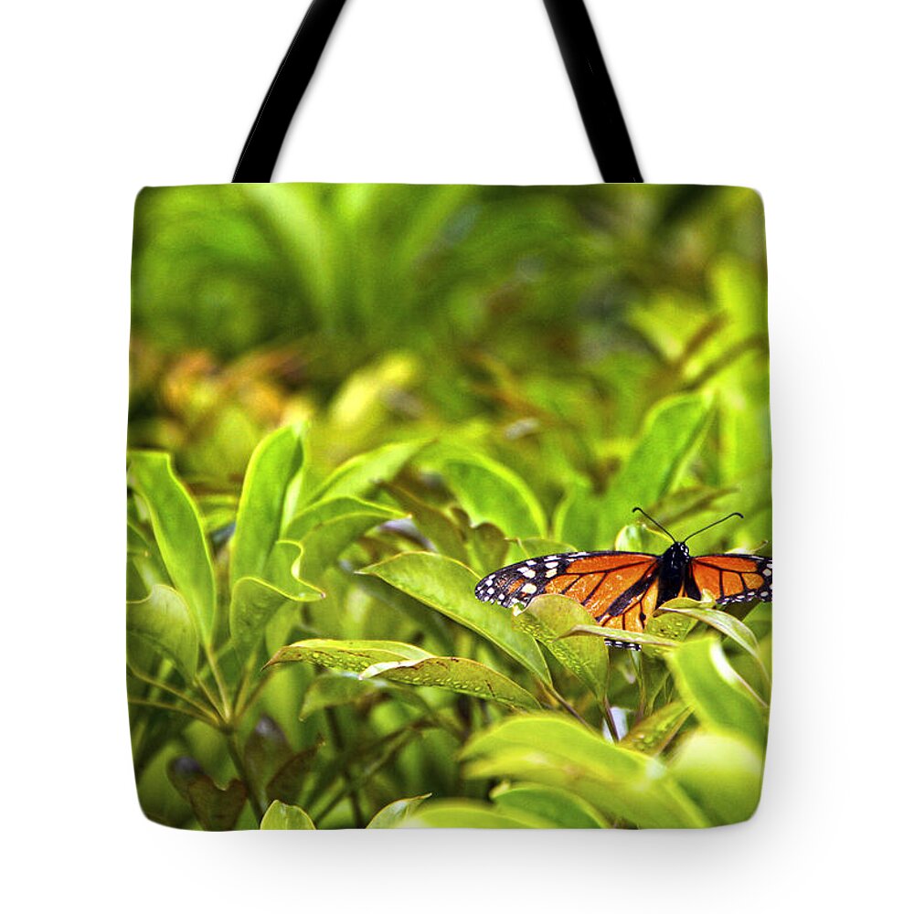Hawaii Tote Bag featuring the photograph Butterfly Maui by Waterdancer 