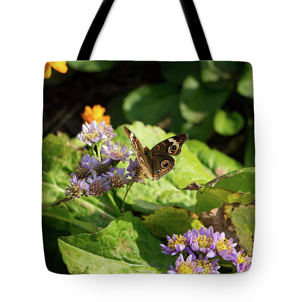 Butterfly Tote Bag featuring the photograph Butterfly Moth by Karen Ruhl