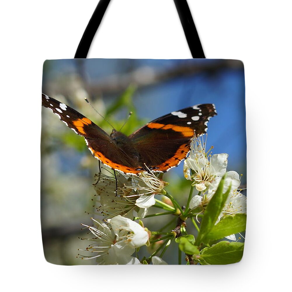 Butterfly Tote Bag featuring the photograph Butterfly on Blossoms by Steven Clipperton