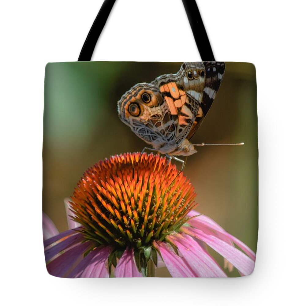 Butterfly Tote Bag featuring the photograph Butterfly on Coneflower 2 by Mary Ann Artz