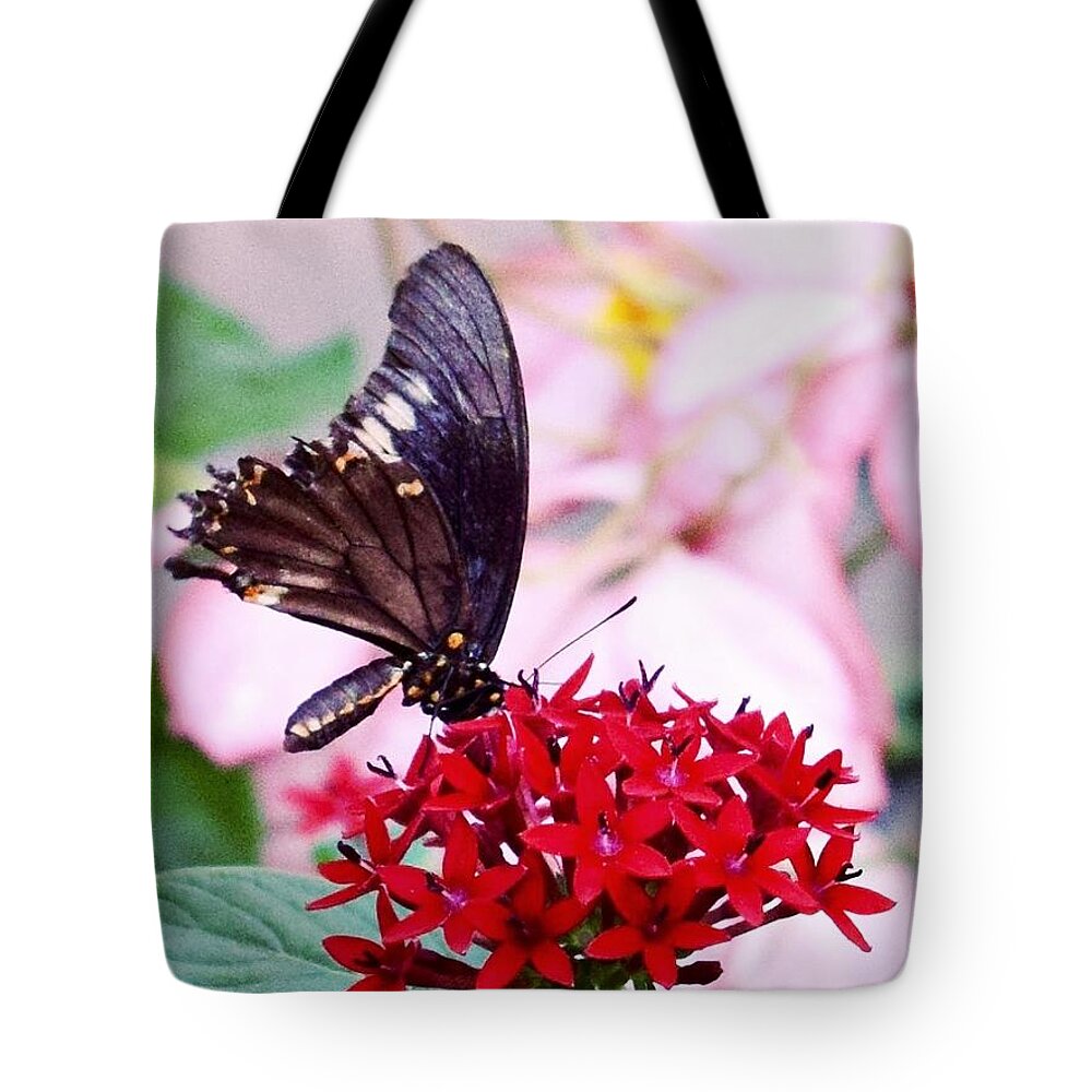 Black Butterfly On Red Flower Tote Bag featuring the photograph Black Butterfly on Red Flower by Sandy Taylor