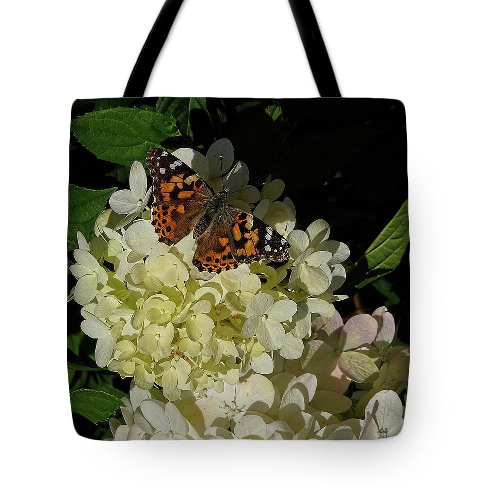 American Painted Lady Tote Bag featuring the photograph Butterfly on Hydrangea by Ronda Ryan