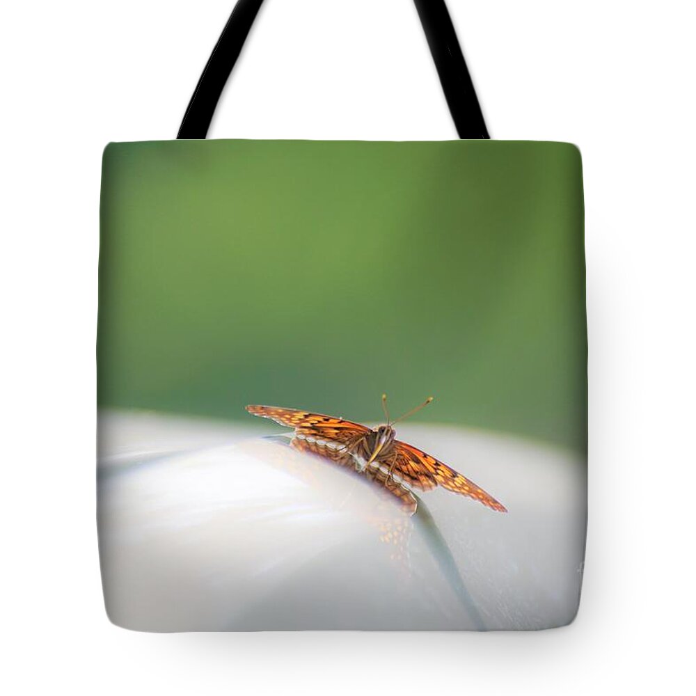 Butterflies Tote Bag featuring the photograph Butterfly on my car3 by Merle Grenz