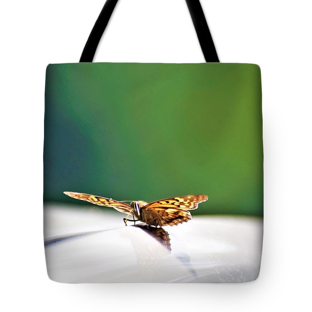 Butterflies Tote Bag featuring the photograph Butterfly on my car5 by Merle Grenz