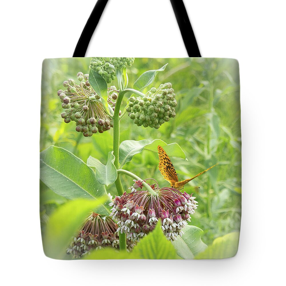 Butterfly Tote Bag featuring the photograph Butterfly On Wild Flowers by Henri Irizarri