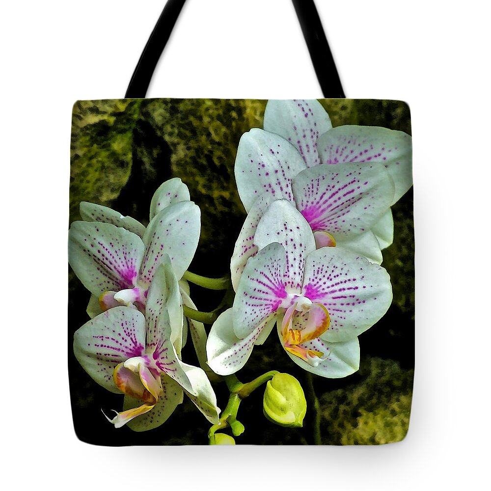 Orchids Tote Bag featuring the photograph Butterfly Orchids by Janis Senungetuk