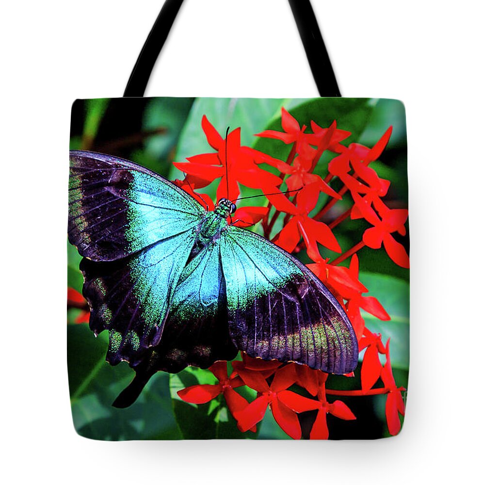 Bug Tote Bag featuring the photograph Butterfly by Ray Shiu