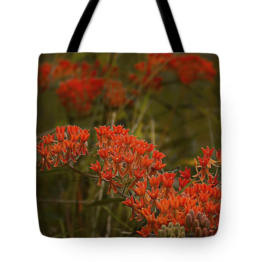 Butterfly Weed Asclepias Tuberosa Tote Bag featuring the photograph Butterfly Weed Asclepias Tuberosa by Bellesouth Studio