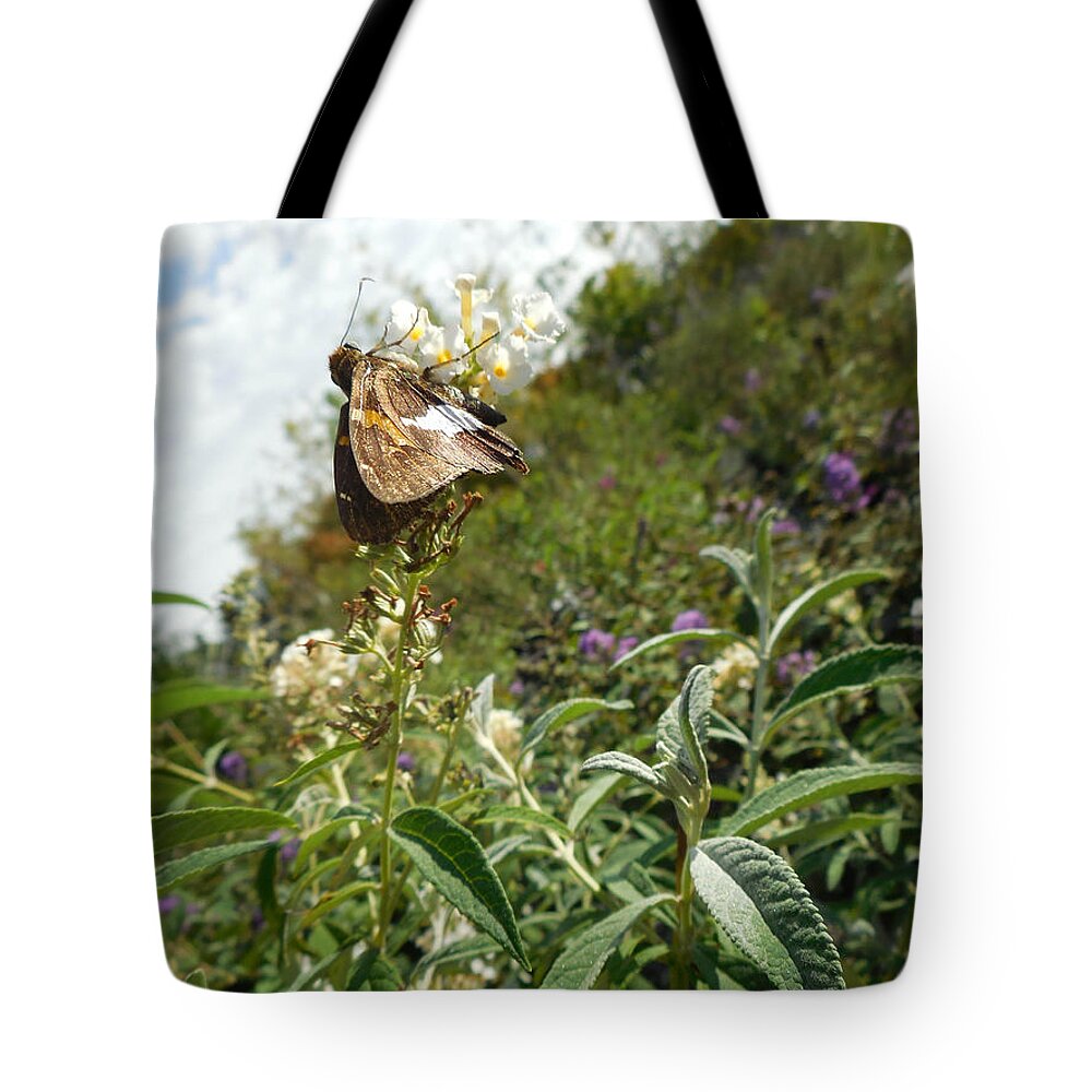 Stock Photography Tote Bag featuring the photograph Butterly Flowers by Captain Debbie Ritter