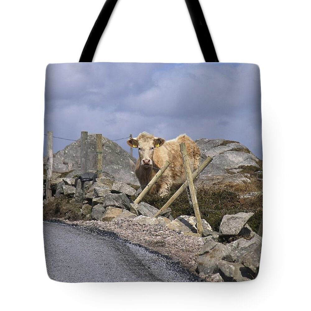Ireland Tote Bag featuring the photograph Butterscotch by Suzanne Oesterling