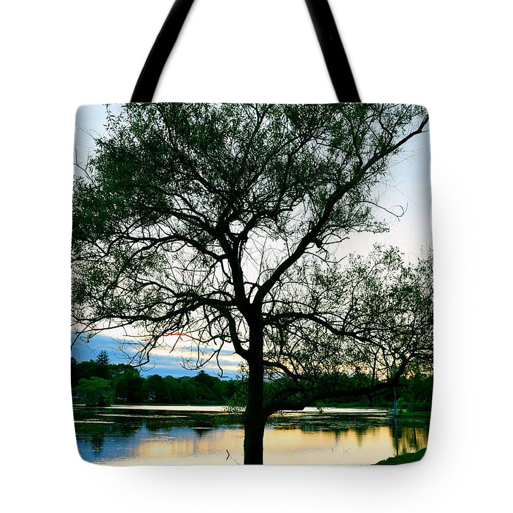 Buttonwood Park Tote Bag featuring the photograph Buttonwood Sunset by Kate Arsenault 