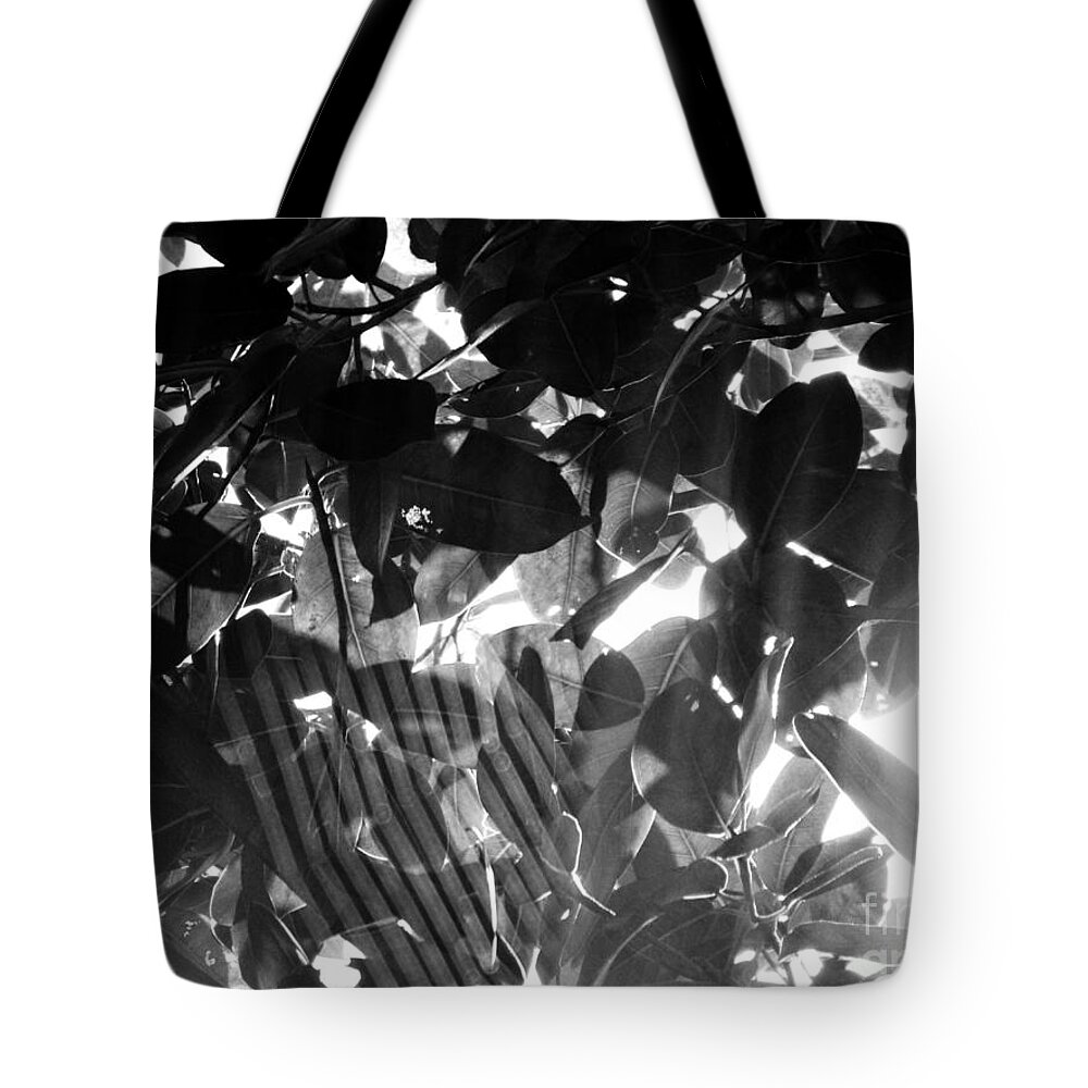 Cobwebs Tote Bag featuring the photograph BW Spider Phenomena by Megan Dirsa-DuBois