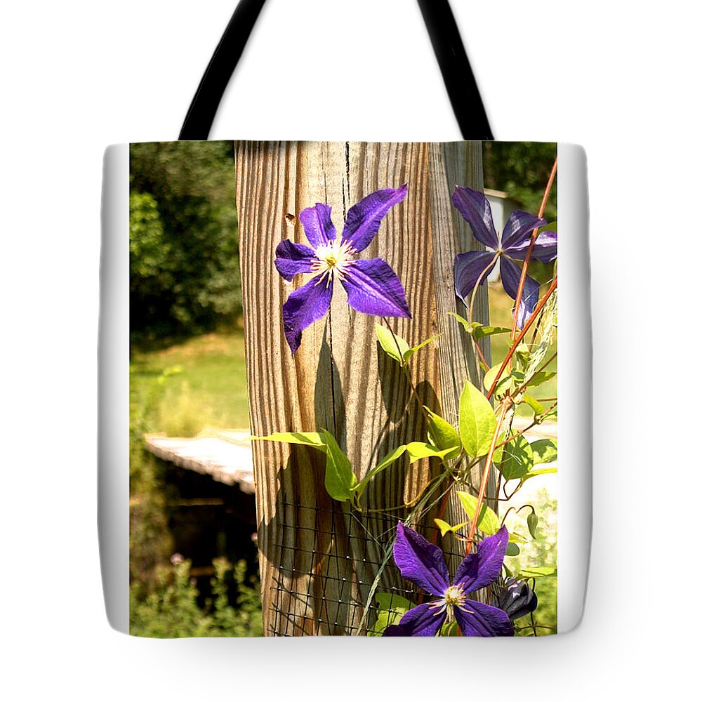  Tote Bag featuring the photograph By the Bridge by R Thomas Berner