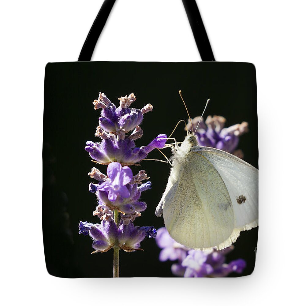 Cabbage White Butterfly Tote Bag featuring the photograph Cabbage White butterfly on Lavender by Inge Riis McDonald