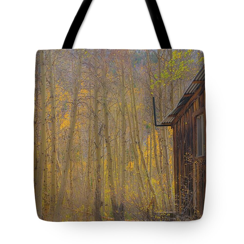 Fall Tote Bag featuring the photograph Cabin in the woods by Patricia Dennis