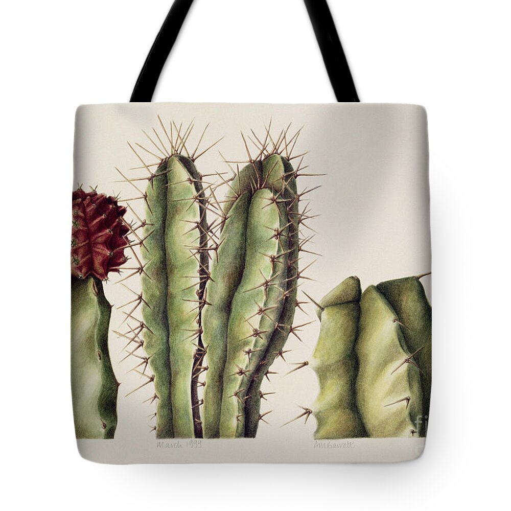 #faatoppicks Tote Bag featuring the painting Cacti by Annabel Barrett