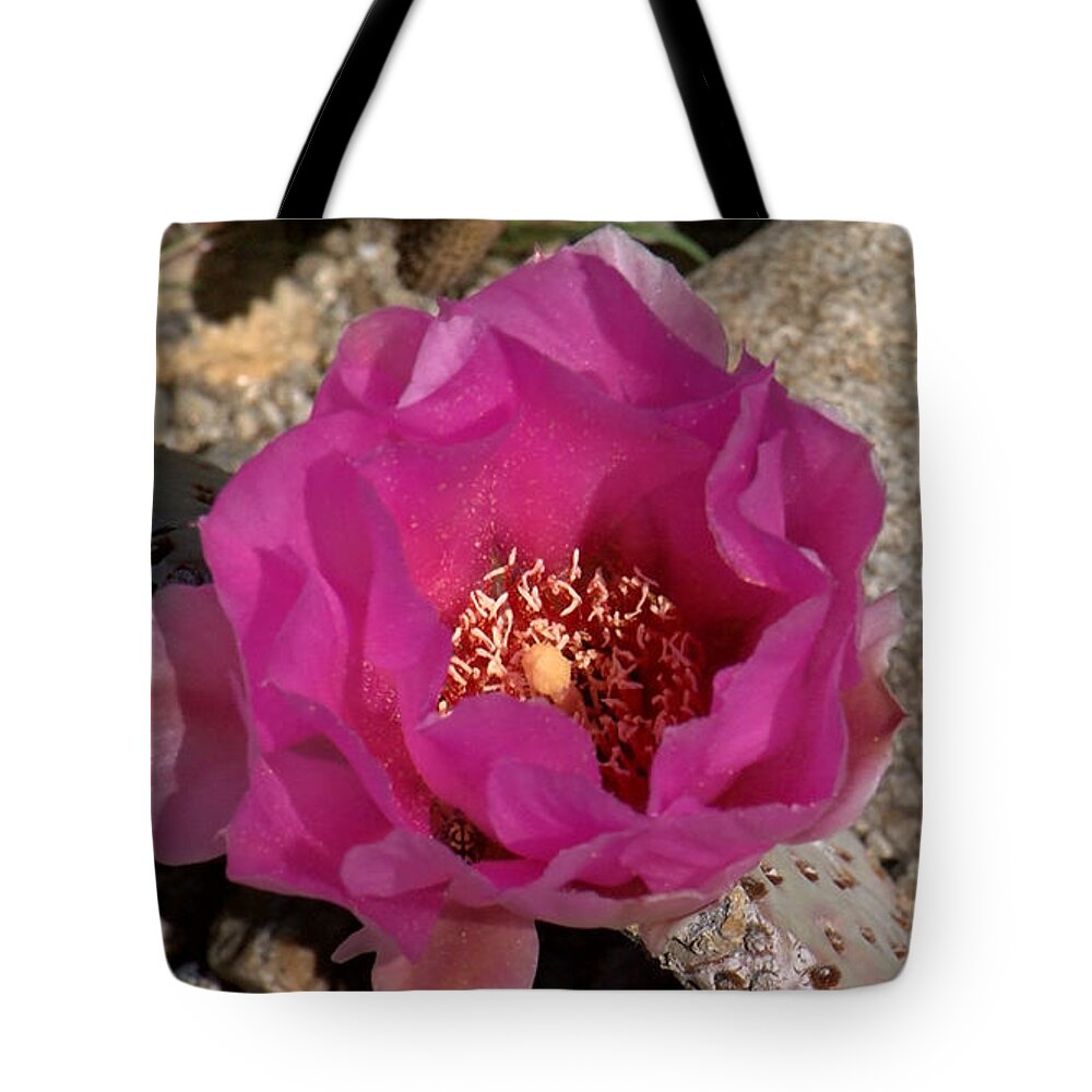 Desert Tote Bag featuring the photograph Cacti in Bloom by Chris Tarpening