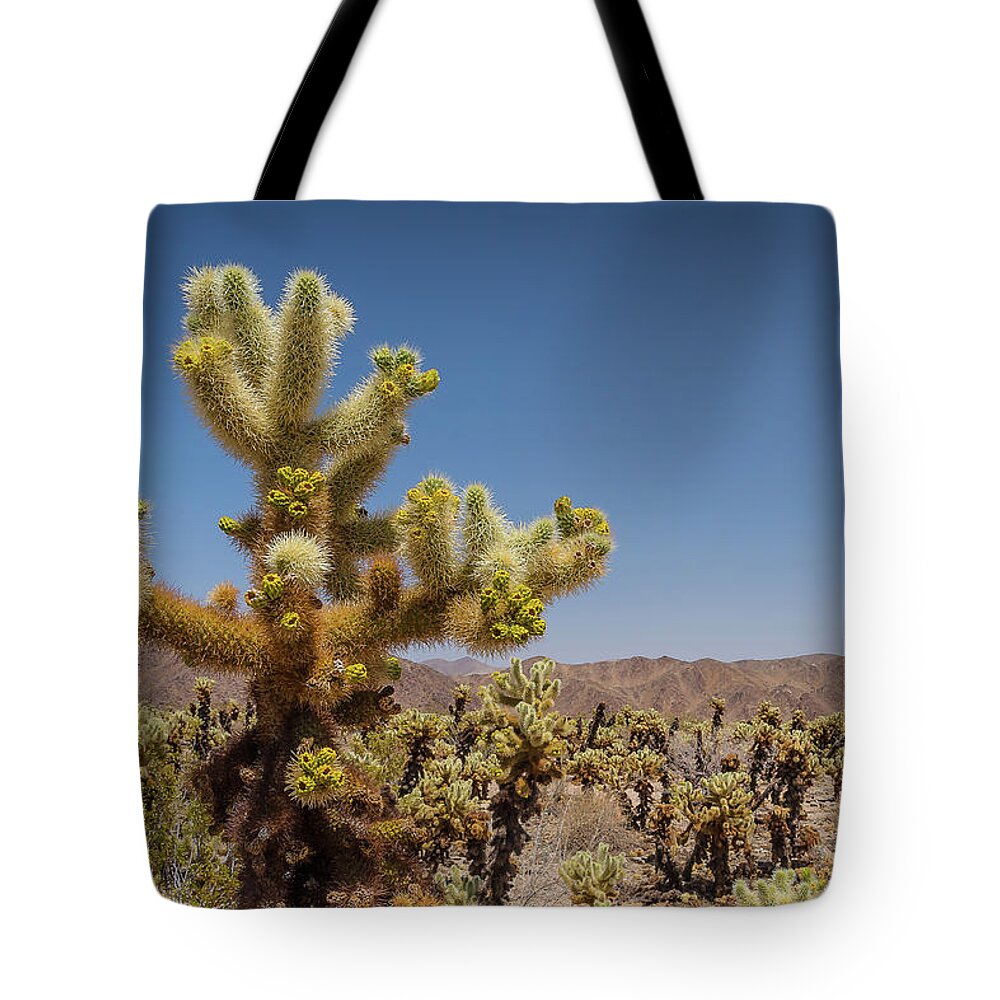 California Tote Bag featuring the photograph Cactus Alert by David Downs
