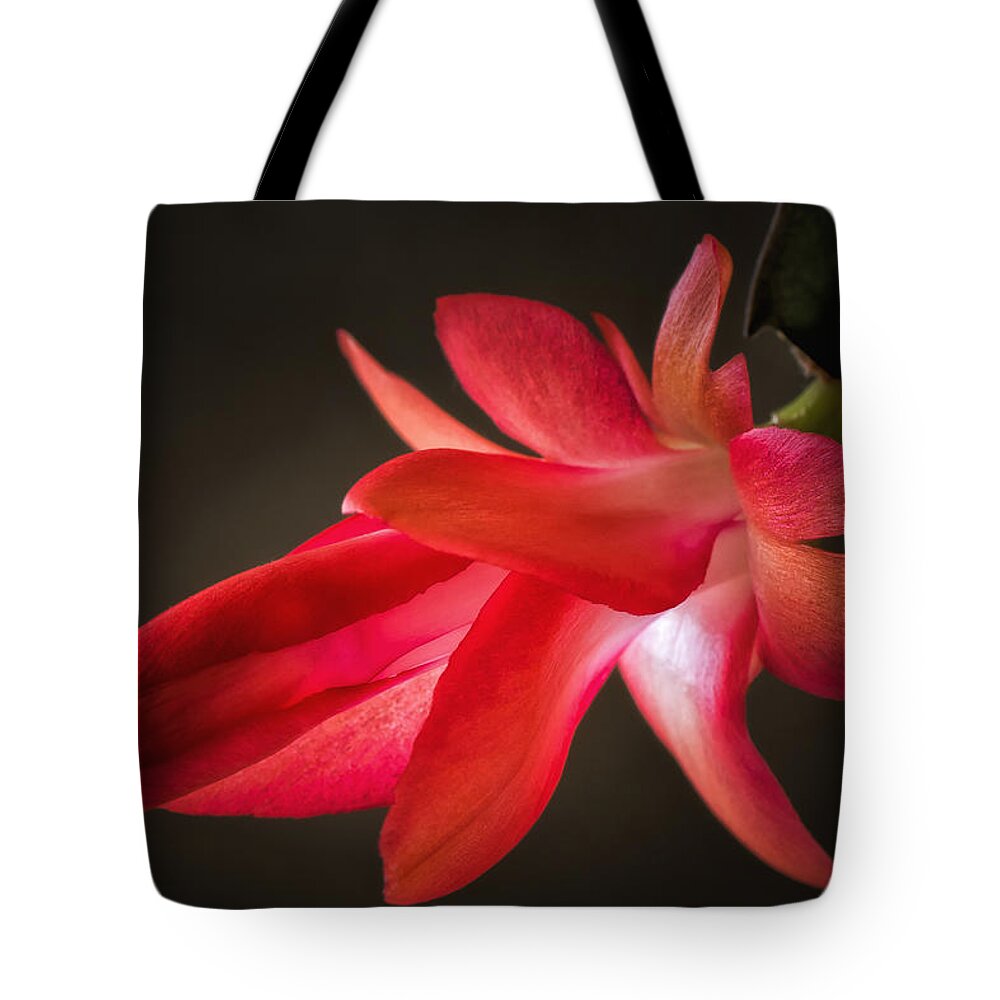 Cactus Tote Bag featuring the photograph Cactus Bloom Aglow by James Barber